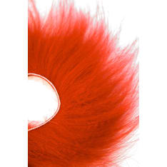 Eumer supikoira zonkkeri