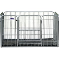 Brava puppy cage