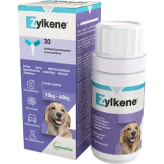 Zylkene 15-60 kg isoille koirille 30 kaps. täydennysrehu