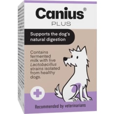 Canius Plus dog lactic acid bacteria