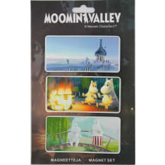 Moomin 3 piece aluminum magnet
