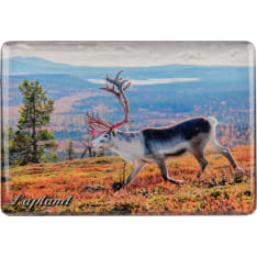 Happy Orange Ruska Reindeer magnet