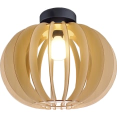 Focuslight Levi ø41cm ceiling lamp