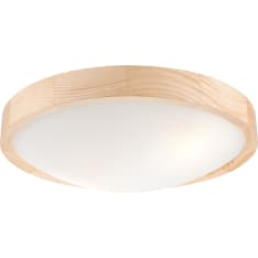 FocusLight Luna 370mm ceilings