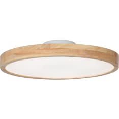 FocusLight Karen LED 50cm puu plafondi