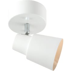 Ceiling lamp FocusLight Milo 1-light white