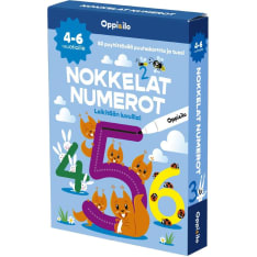 Learning and Joy Witty numbers playing cards