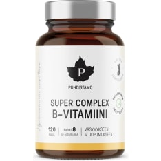 Pudishtamo Super Complex Vitamin B 120 caps. dietary supplement