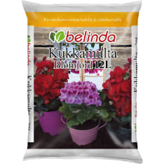 Belinda from flower soil