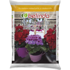 Belinda from flower soil