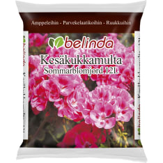 Belinda kesäkukkamulta