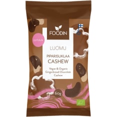 Foodin Organic 60g gingerbread chocolate cashew