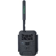 NITEforce EZmail 4G 20MP riistakamera