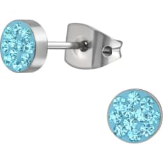 SJ earrings