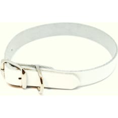 Leather-Nasta dog collar for puppies