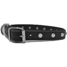 Leather-Nasta dog collar with buckle