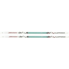 Lake Lapponia Ski forest skis