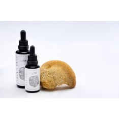 Kääpä Mushrooms Lions Mane Soma extract nutritional supplement