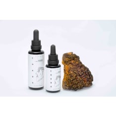 Kääpä Mushrooms Chaga Soma-uute ravintolisä