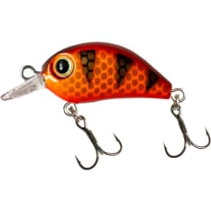 Jacket 2.5 cm rainbow trout wool