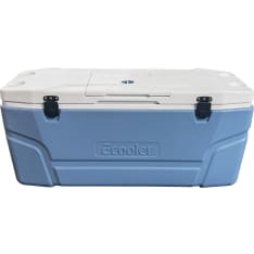 Ecooler 125L cooler