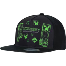 Minecraft cap