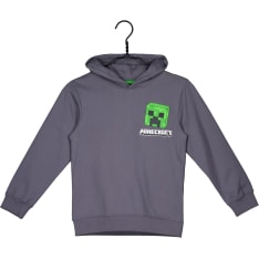 Minecraft hoodie