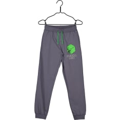 Minecraft sweat pants