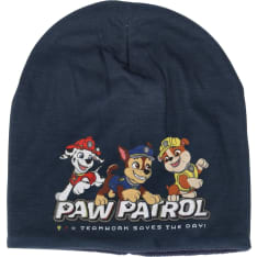Paw Patrol beanie