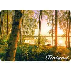 Happy Traveler Forest and lake 3D magnet