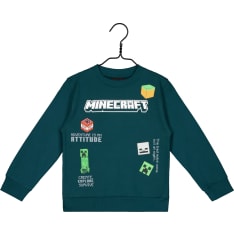 Minecraft sweatshirt