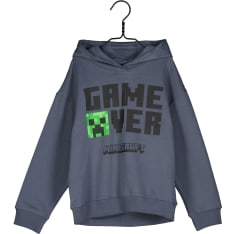 Minecraft hoodie
