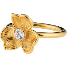 Enchanting Anna ring