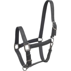 Wahlsten Bruno halter synthetic leather