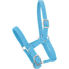 Horse Comfort maitovarsan nailonriimu