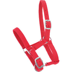 Horse Comfort maitovarsan nailonriimu
