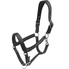 Wahlsten Paddock nylon halter with padding