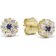 KT K-E37275ZSIN Gold earrings
