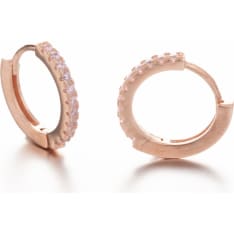 Silver earrings