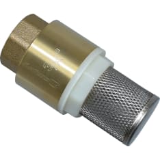 Ridge bottom valve with strainer