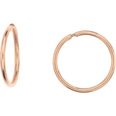 Silver Bar training rings