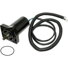 Sea-X Yamaha trim motor