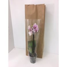 Paper bag