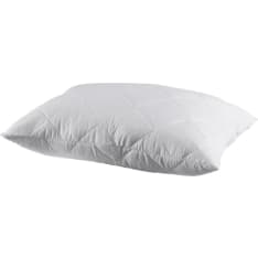 Dreamer Lux 50x60cm pillow