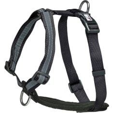 FINNERO SALO adjustable harness