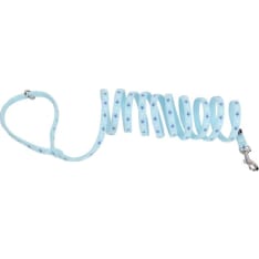 Finnero Bambino dog leash lagoon