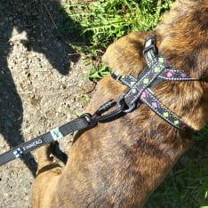 FINNERO RESCUE Antislip black leash