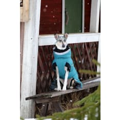 Kivalo Luosto Puro koiran toppatakki