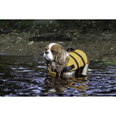 Boogie Tyrsky Dog Life Vest