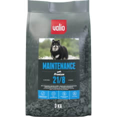 VALIO 3kg Maintenance 21/8 koiranruoka